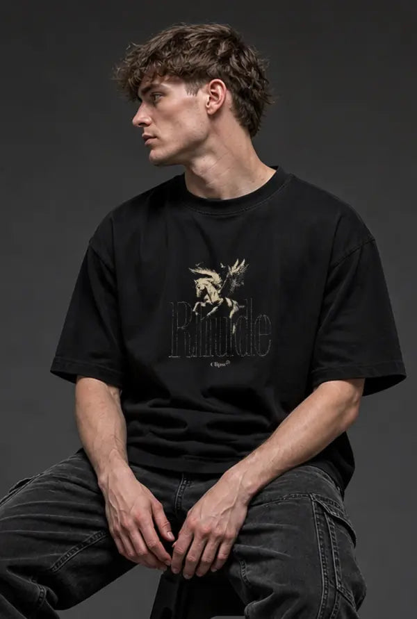 Pegasus Winged Horse Oversized T-Shirt